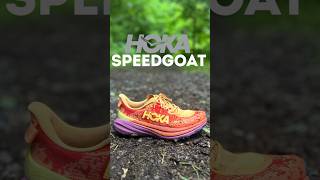 Hoka Speedgoat  Comparing Version 5 vs 6  Minor Updates Big Impact shorts shoes running [upl. by Eicnan]