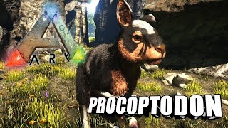 Taming A Procoptodon  Ark Survival Evolved  The Island [upl. by Shuping]