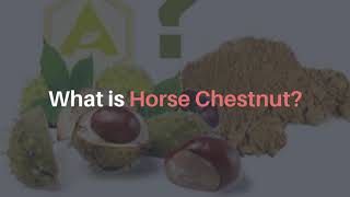 What is Horse Chestnut It’s Surprising Uses amp Benefits [upl. by Aenit]