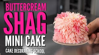 Pink Buttercream Shag Mini Cake  Cake Decorating For Beginners [upl. by Alekal]