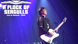 A Flock Of Seagulls  I Ran So Far Away  Live in Ontario 2019 Video HD [upl. by Ettenwahs592]