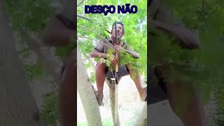 olha o perigo shortsvideo [upl. by Ardnoet]