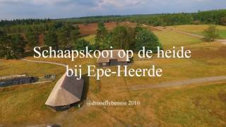 schaapskooi Epe Heerde [upl. by Muffin]