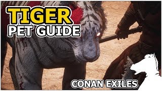 TIGER  Pets Guide  CONAN EXILES [upl. by Rolyab]