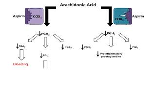 Asprin NSAID  Mechanism of Action antiinflammatory action [upl. by Geminius302]