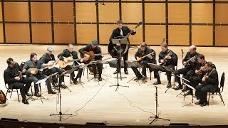 Ger Mandolin Orchestra 2013  Toronto [upl. by Nonarb]