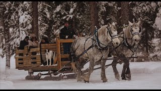 Sleigh Ride Dinner at Lone Mountain Ranch [upl. by Nilek]