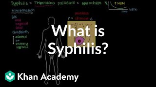 What is syphilis  Infectious diseases  NCLEXRN  Khan Academy [upl. by Nortna690]