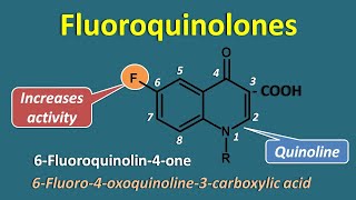 Fluoroquinolones  Generations and spectrum of activity [upl. by Nerissa]