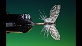 Fly Tying a mayfly dry fly spinner with Barry Ord Clarke [upl. by Leyameg580]