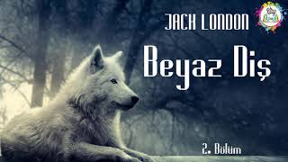 JACK LONDON  BEYAZ DİŞ  2 BÖLÜM  SESLİ KİTAP [upl. by Kitarp]