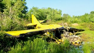 Fatal Crash of Aeronca 7AC quotChampquot  Cranland Airport Hanson Massachusetts [upl. by Ahsemal]