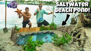 DIY EXOTIC BEACH FISH POND Insane [upl. by Shela204]