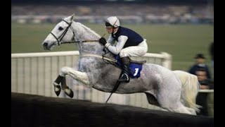 Desert Orchid Channel 4 Documentary 1989 [upl. by Marlee]