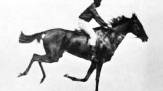 Race Horse First Film Ever 1878 Eadweard Muybridge [upl. by Crescantia]