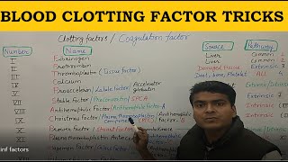 Blood Clotting Factors Tricks  Clotting Factor Mnemonics  Coagulation Factors  NEET BIOLOGY [upl. by Yenal]