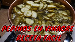 💢💢💢COMO SE HACEN LOS PEPINILLOS EN VINAGRE CASEROS💢pepinos agridulces receta casera💢💢 [upl. by Fenwick]