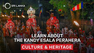 The Elements of the Esala Perahera  So Sri Lanka [upl. by Derfla]