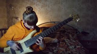 Seemann bass cover for Rammstein [upl. by Eniamahs]