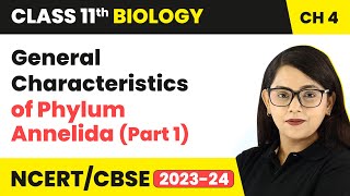 General Characteristics of Phylum Annelida Part 1  Class 11 Biology Chapter 4  NCERTCBSE [upl. by Bahr]