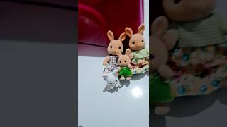 Unboxing Sylvanian Families 🐰Ameii 💜💜💜💜 shorts sylvanianfamilies [upl. by Earased]