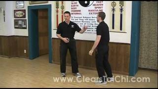 Combat Tai Chi Chuan Parry amp Punch Application [upl. by Marih672]