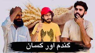 Sasti Gandum Aur kisaan  True Story  H2A Films [upl. by Lenz]