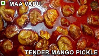 Maa Vadu  Vadu Manga  Tender mango Pickle  Kanni Manga Pickle [upl. by Delsman17]