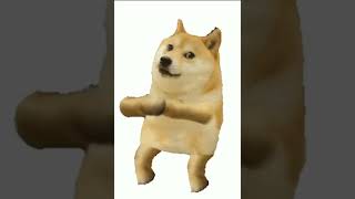 Dancing Doge meme [upl. by Anead]