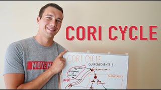 What is the Cori Cycle  Gluconeogenesis Explained Simply [upl. by Retsevlis548]