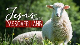 Jesus amp The Passover Lamb [upl. by Bluefield]