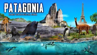 Zoo Tours Patagonia  Paris Zoological Park [upl. by Priest]