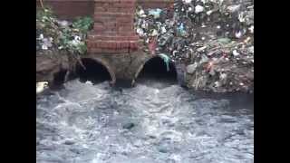 Unauthorised discharge of wastewater into open drains leads to surface water pollution [upl. by Dick]