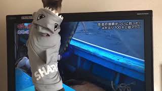 ﾏｸﾞﾛに賭けた男たち🛥🐈 [upl. by Rubel]