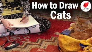 How to Draw Cats Step by Step Sketching Tutorial for Beginners [upl. by Kumar]