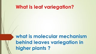 what is leaf variegation learn how leaves show variegation Urdu part 1 [upl. by Neda]