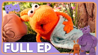 Big and Small 🧸 FULL EPISODE 🧸 The Case of Missing Saur [upl. by Merrow]