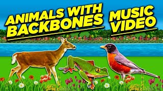 Animals With Backbones Music Video Tooties Education Empire 2020 [upl. by Abrahams]