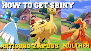 HOW TO GET SHINY GALARIAN ARTICUNOZAPDOS amp MOLTRES IN POKEMON SWORD AND SHIELD [upl. by Raybourne]