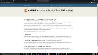 HowTo Install amp Setup NoPixel 20 Dump [upl. by Anirtal]