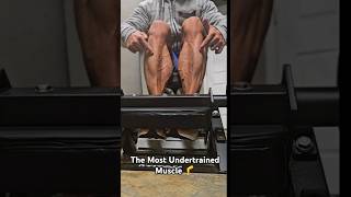 The Most Undertrained Muscle 🦵 Tibialis Anterior [upl. by Lachman949]