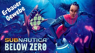 Subnautica Below Zero Erbauer Gewebe finden [upl. by Kerwon]