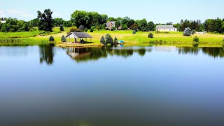 Designing The Perfect Pond Part 2 [upl. by Merv]