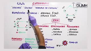 BIOLOGÍA  Carbohidratos [upl. by Stormy998]