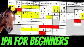 Conlanging 101 Basics of the IPA [upl. by Rehtae]