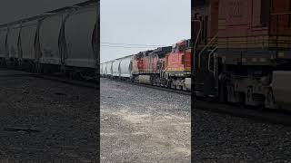 BNSF FREIGHT ROLLS THROUGH DENAIR CALIFORNIA November 30 2024 [upl. by Anihsit636]