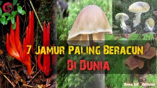 Awas Jangan Dekati 7 Jamur Paling Beracun Di Dunia [upl. by Pitts]