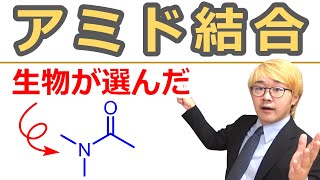 【大学有機化学】アミド結合の合成＆性質：高い安定性と合成容易さを兼ねそろえたカルボニル化合物 [upl. by Carlynn284]