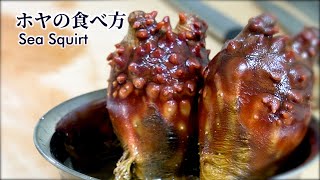 【謎の生物】ホヤの捌き方・下処理から食べ方までご紹介！ [upl. by Ahsian]