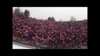 Fans beim Bergiselspringen 2013 [upl. by Anertac]